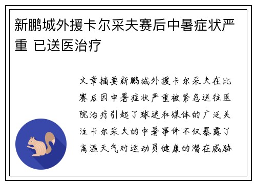 新鹏城外援卡尔采夫赛后中暑症状严重 已送医治疗